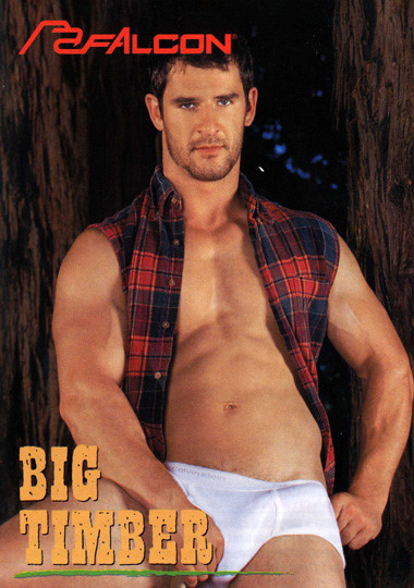 Big Timber / Большое бревно