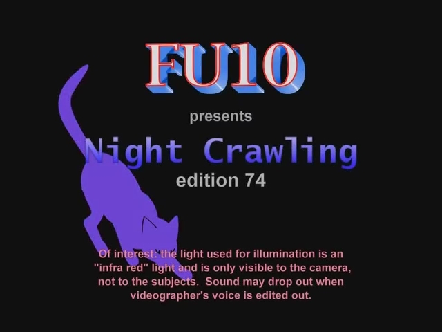 FU10 Night Crawling # 74